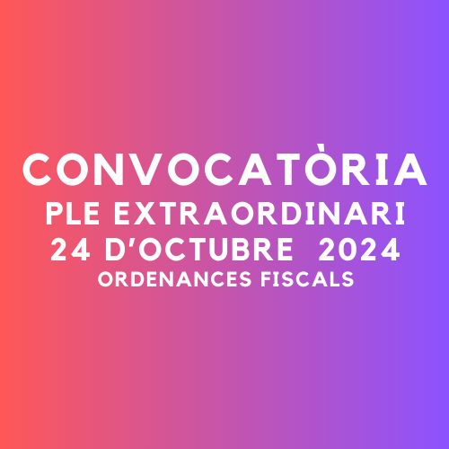 Imatge pels mitjans: Convocatòria Ple extraordinari octubre 2024 