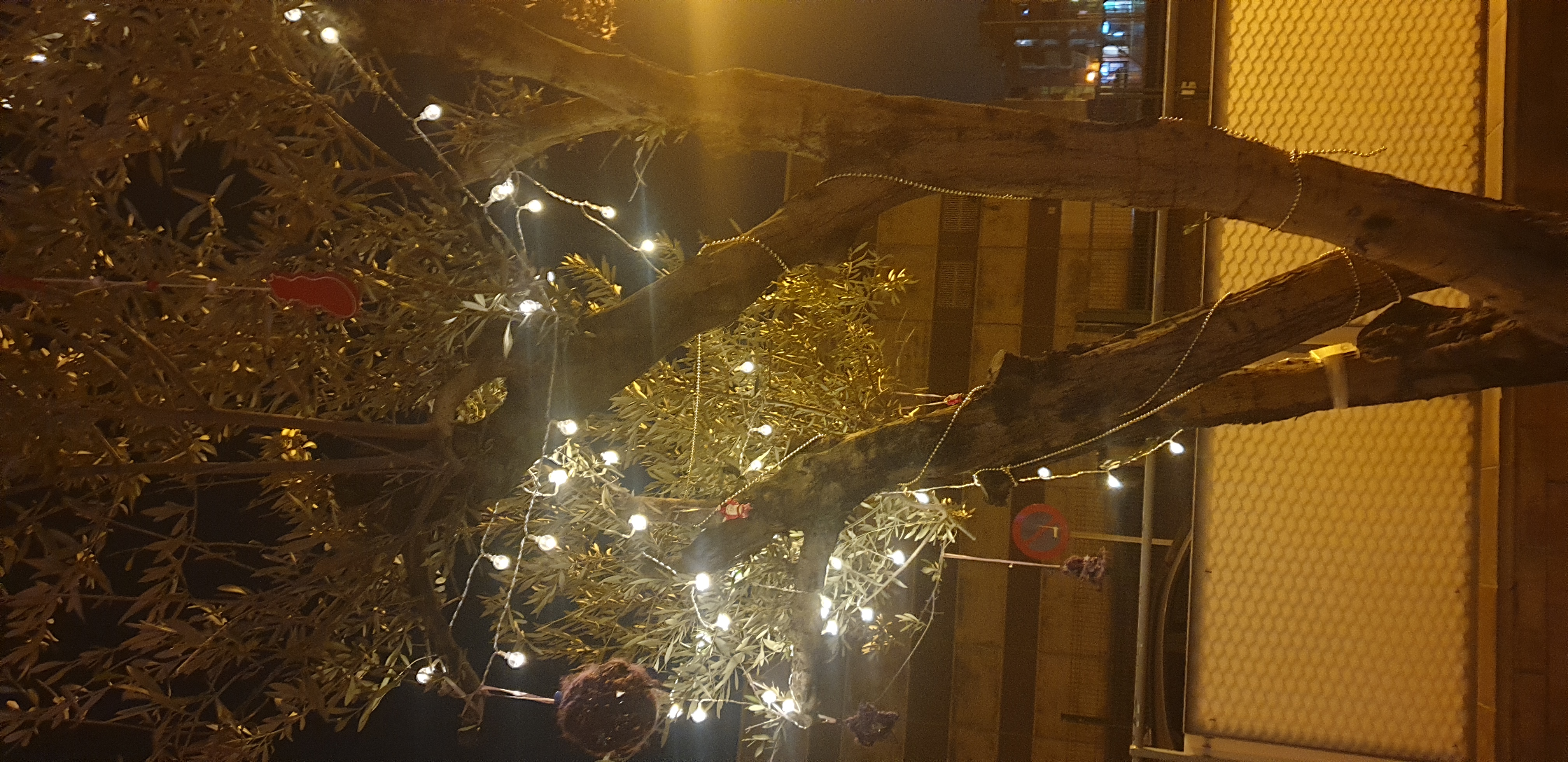 Imatge pels mitjans: Aurora Fonullet Roig