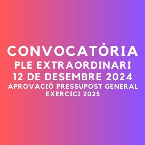 Imagen para los medios: Ple extraordinari desembre 2024