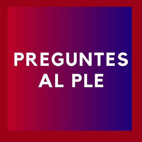 Imatge pels mitjans: Ple abril 2025