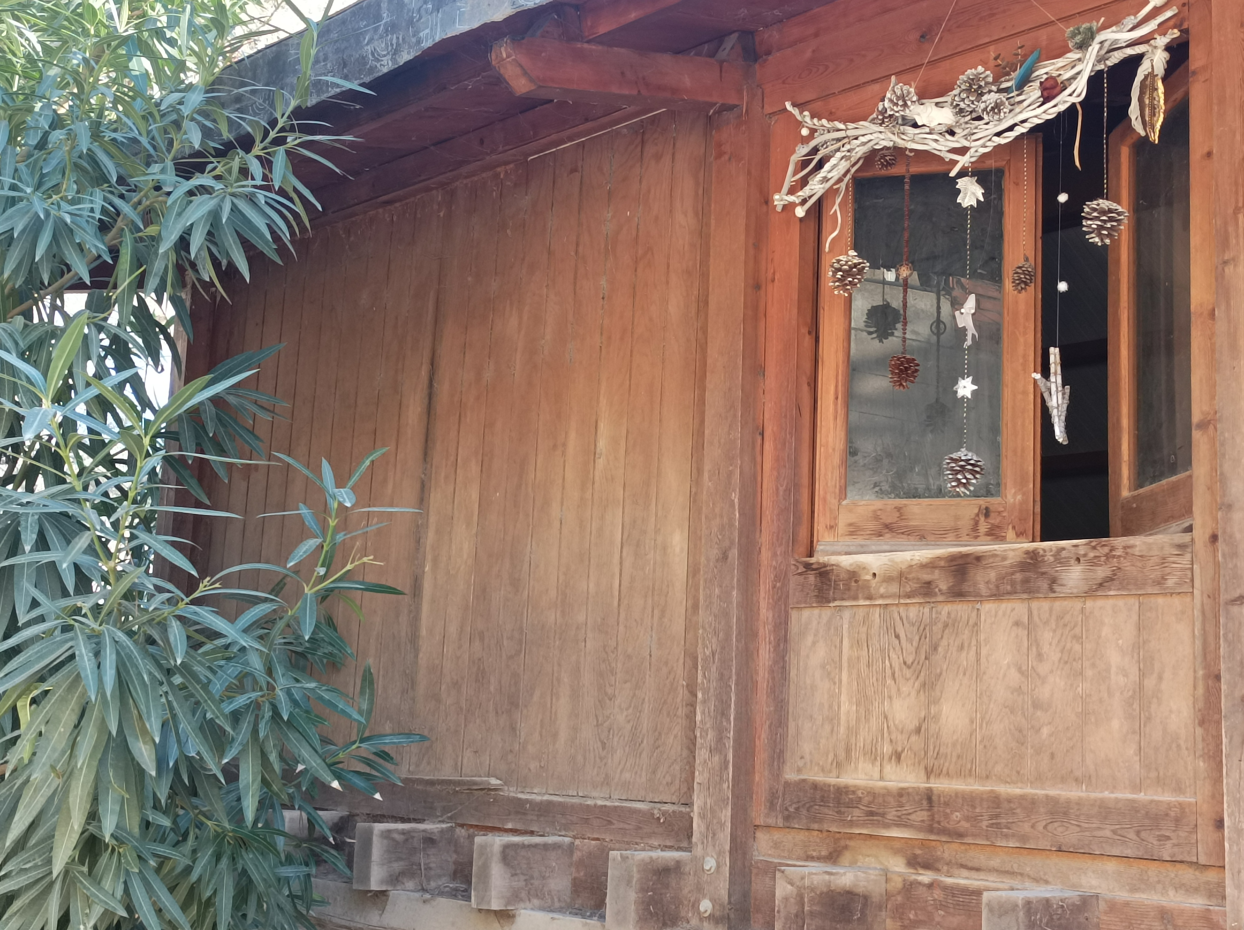 Imatge pels mitjans: Natura nadalenca