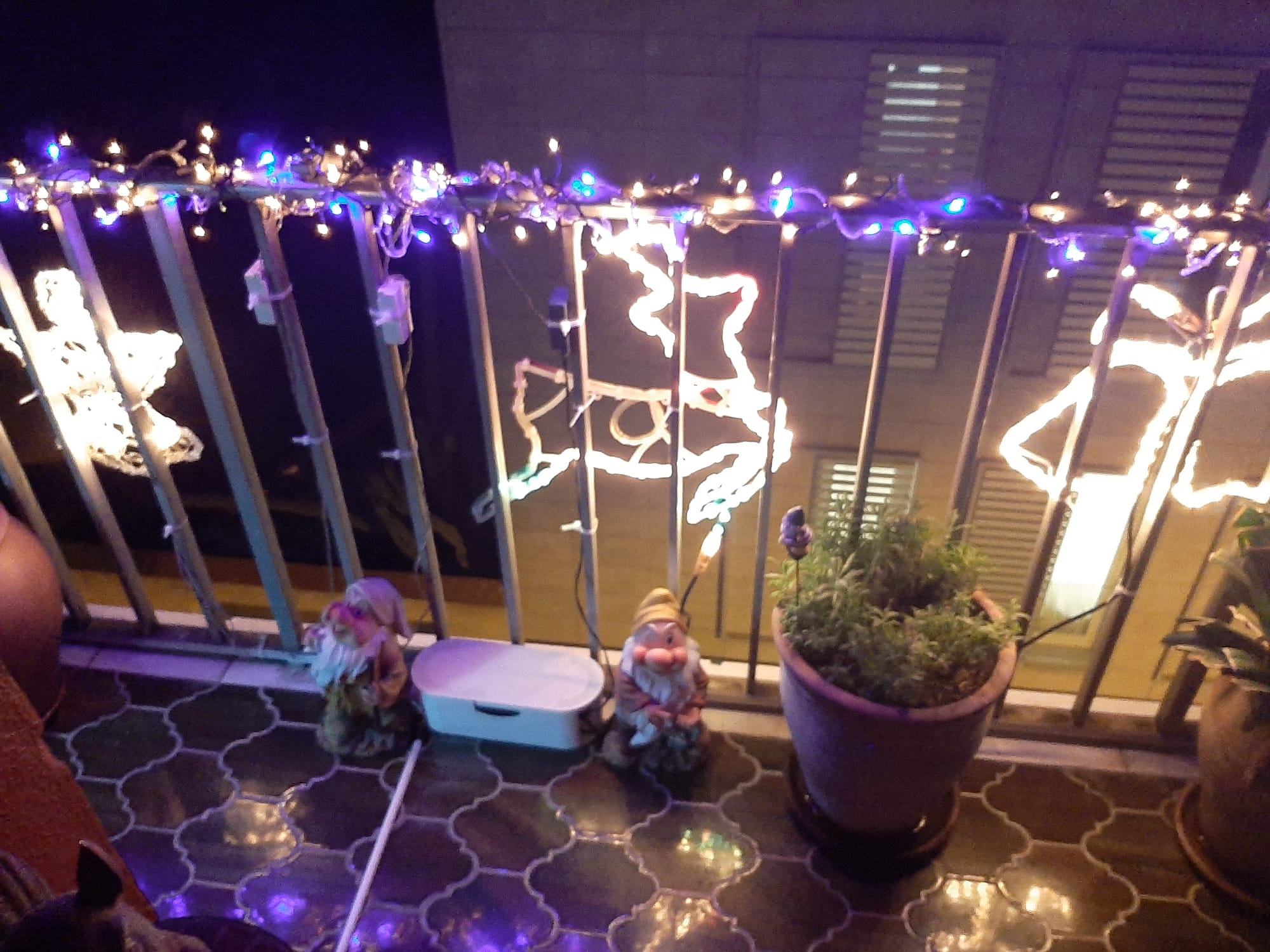 Imagen para los medios: ¡Nadal viu al carrer Montiu!